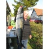 Lachs v. 11.5 Kg